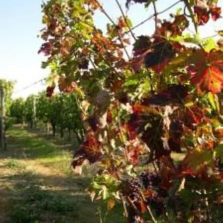 Le Clos De Bizay Couette-café