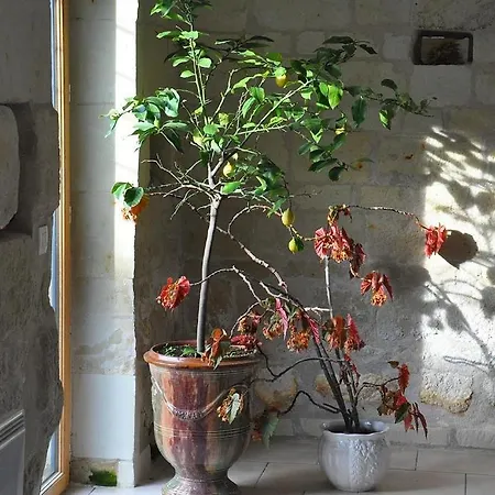 Couette-café Le Clos De Bizay